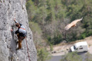 06-3247a Composite - Rock Climber and Vulture, Cevennes National Park, France